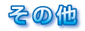 その他